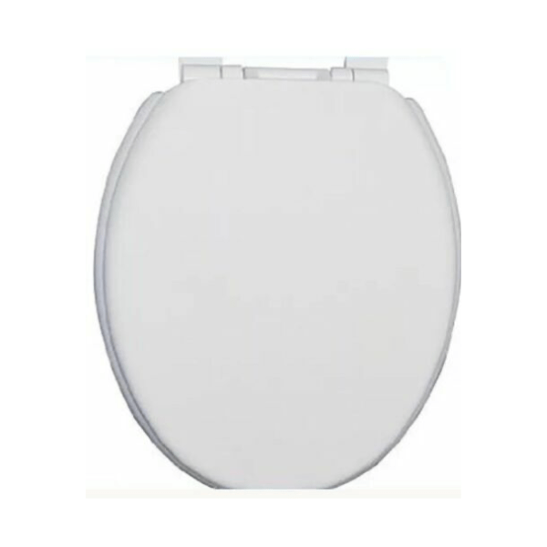 Ashley Soft Close Plastic Toilet Seat AT NAPEV GH