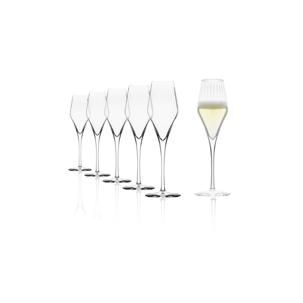 Stölzle Symphony Champagne Glass | Pack of 6 | Napev GH