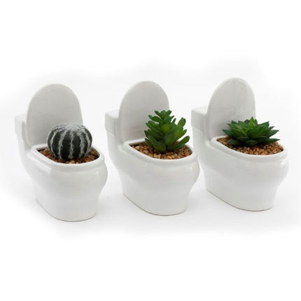 Succulent Toilet Pot White at Napev GH