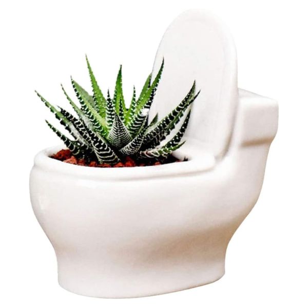 Succulents Toilet Pot White Small at Napev GH