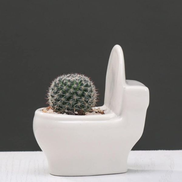 Succulents Toilet Pot White Small at Napev GH