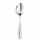 Reload to view Elia Aspira Serving Spoon | Pack of 2